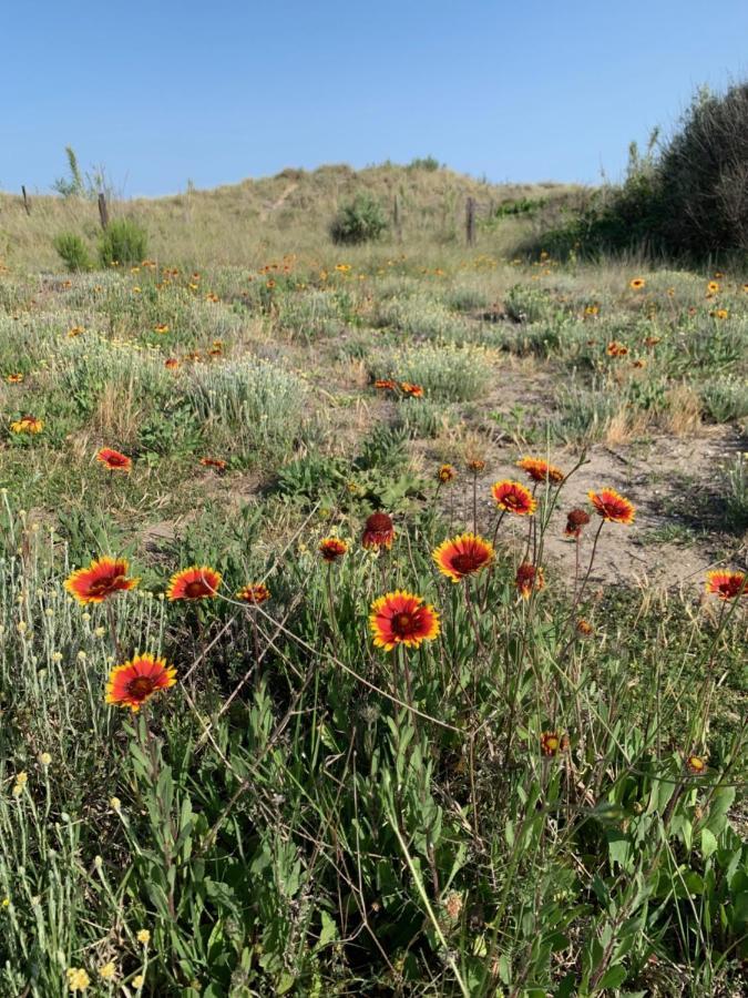Mon Petit Paradis, Vue Sur Dunes Et Mer, Acces Direct Plage Robinson, Terrasse, Parking Prive, Tres Ressourcant, A Marseillan Plage Exterior foto